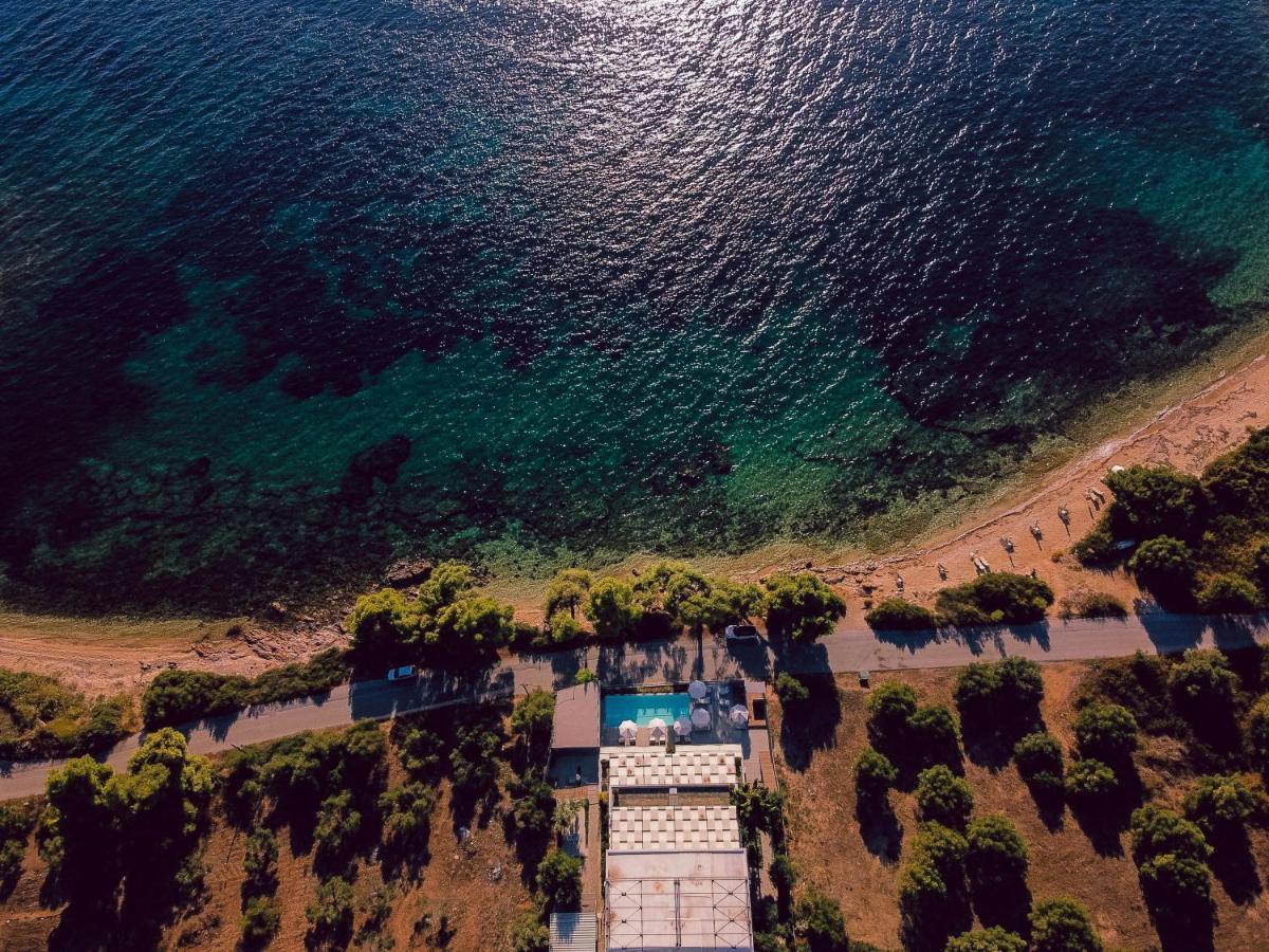 Casa Bloo Adults Only Hotel Elia Nikitis Buitenkant foto